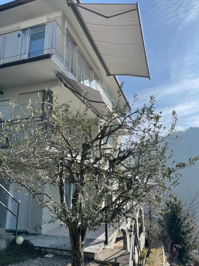 Casa Colmegna Mit Traumhaften See- Und Bergblick Луино Екстериор снимка