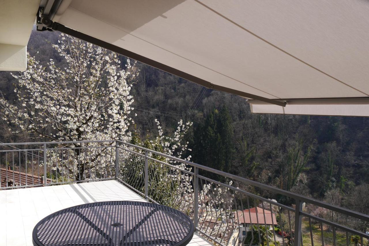 Casa Colmegna Mit Traumhaften See- Und Bergblick Луино Екстериор снимка